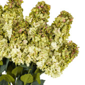 Vintage Cone Hydrangea Stem – White and Green 